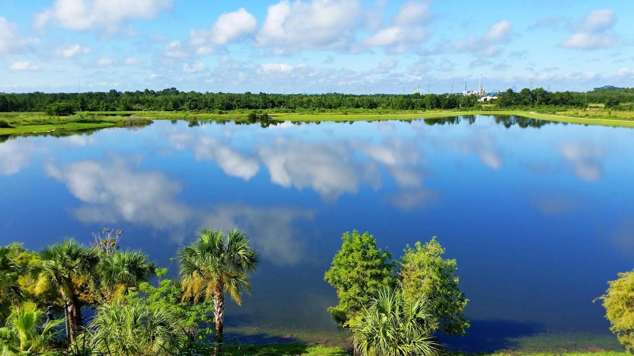 Tropical Dreams Apartment Orlando Bagian luar foto